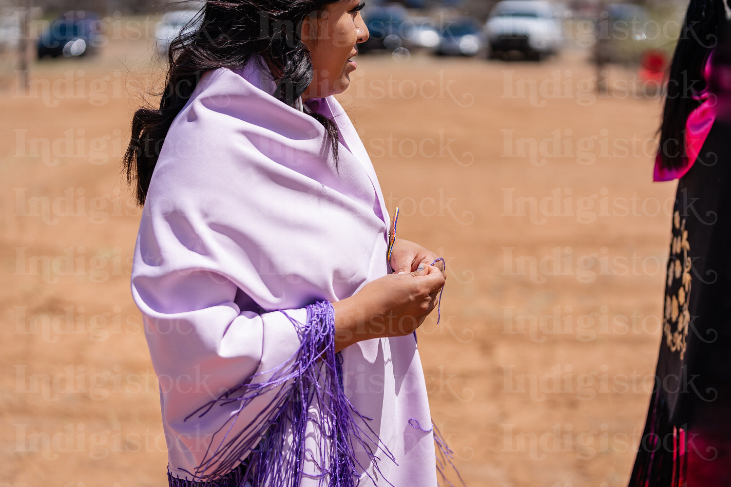 Indigenous Peoples wearing traditional Regalia 