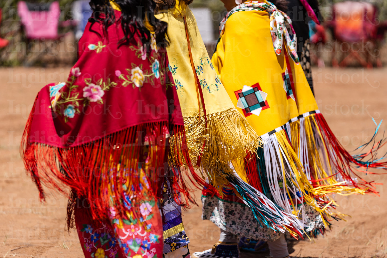 Indigenous Peoples wearing traditional Regalia 