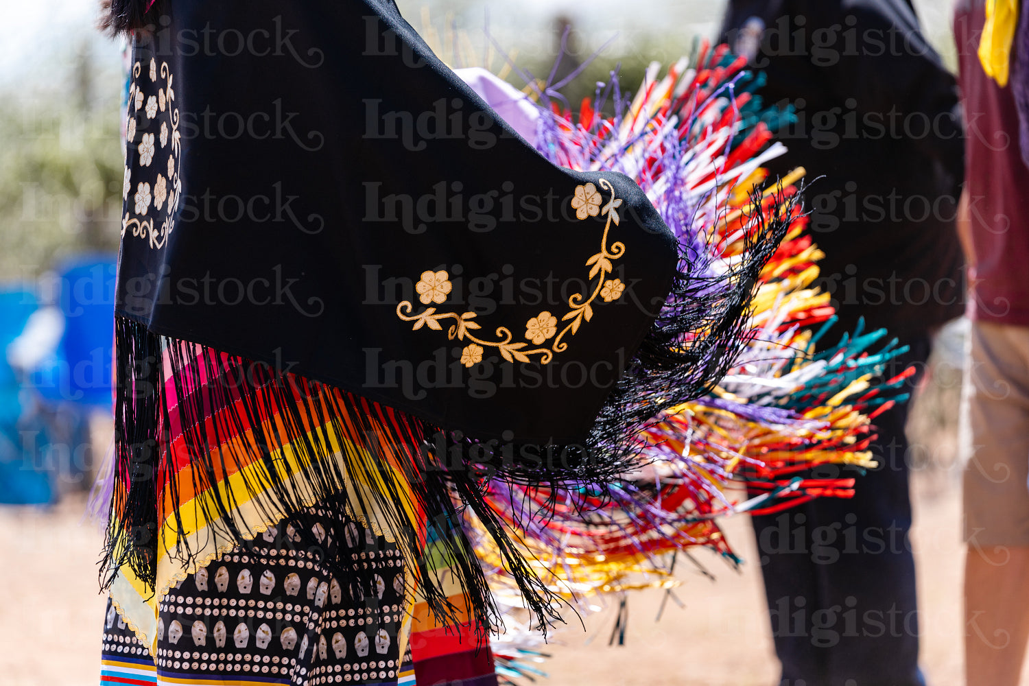 Indigenous Peoples wearing traditional Regalia 