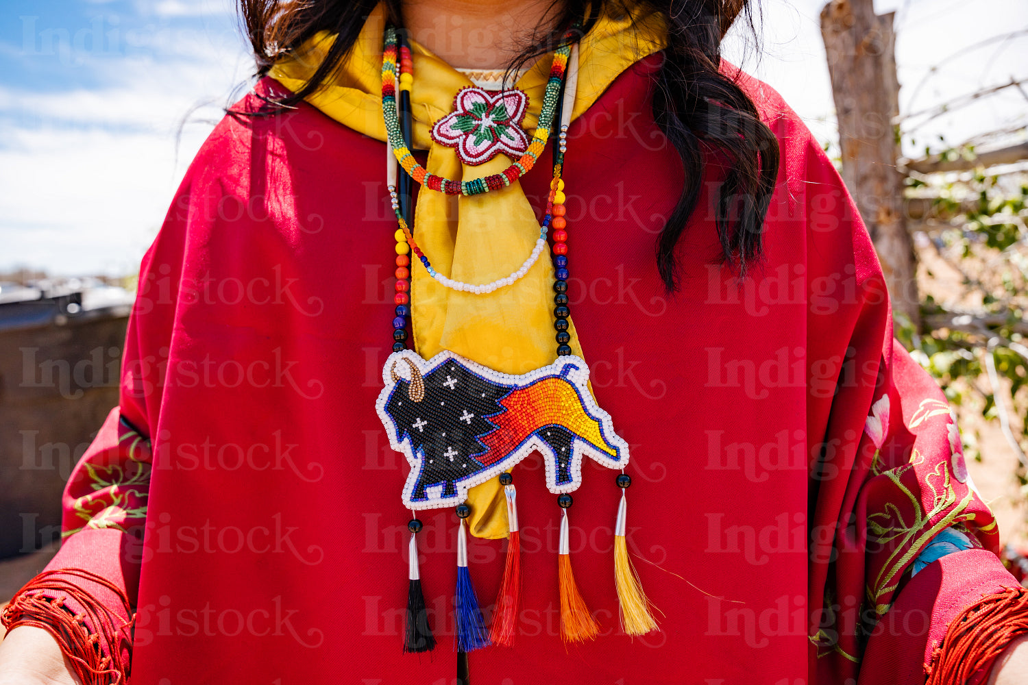 Indigenous Peoples wearing traditional Regalia 