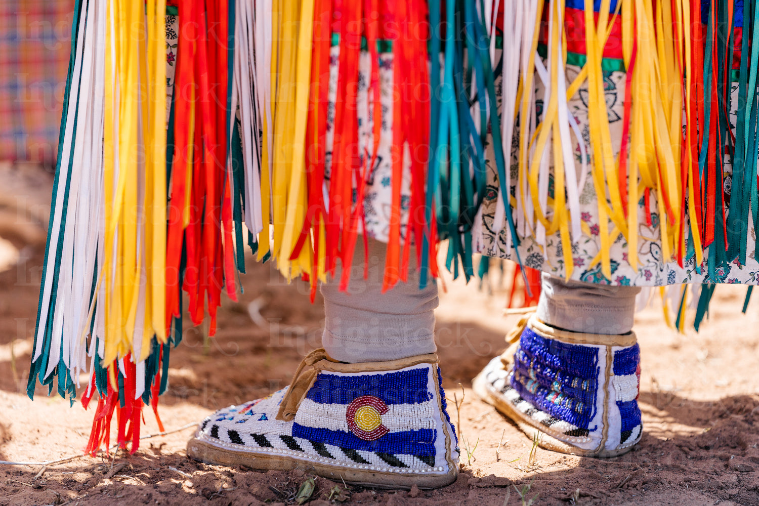 Indigenous Peoples wearing traditional Regalia 