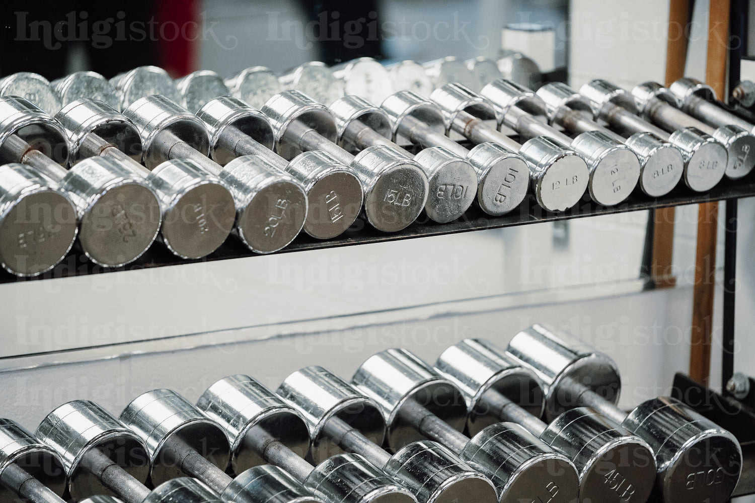 Weights in a gym