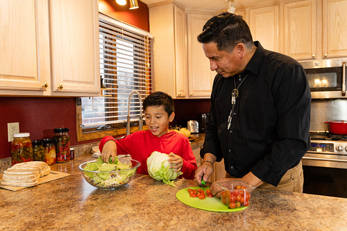 Father and son chopping vegetables