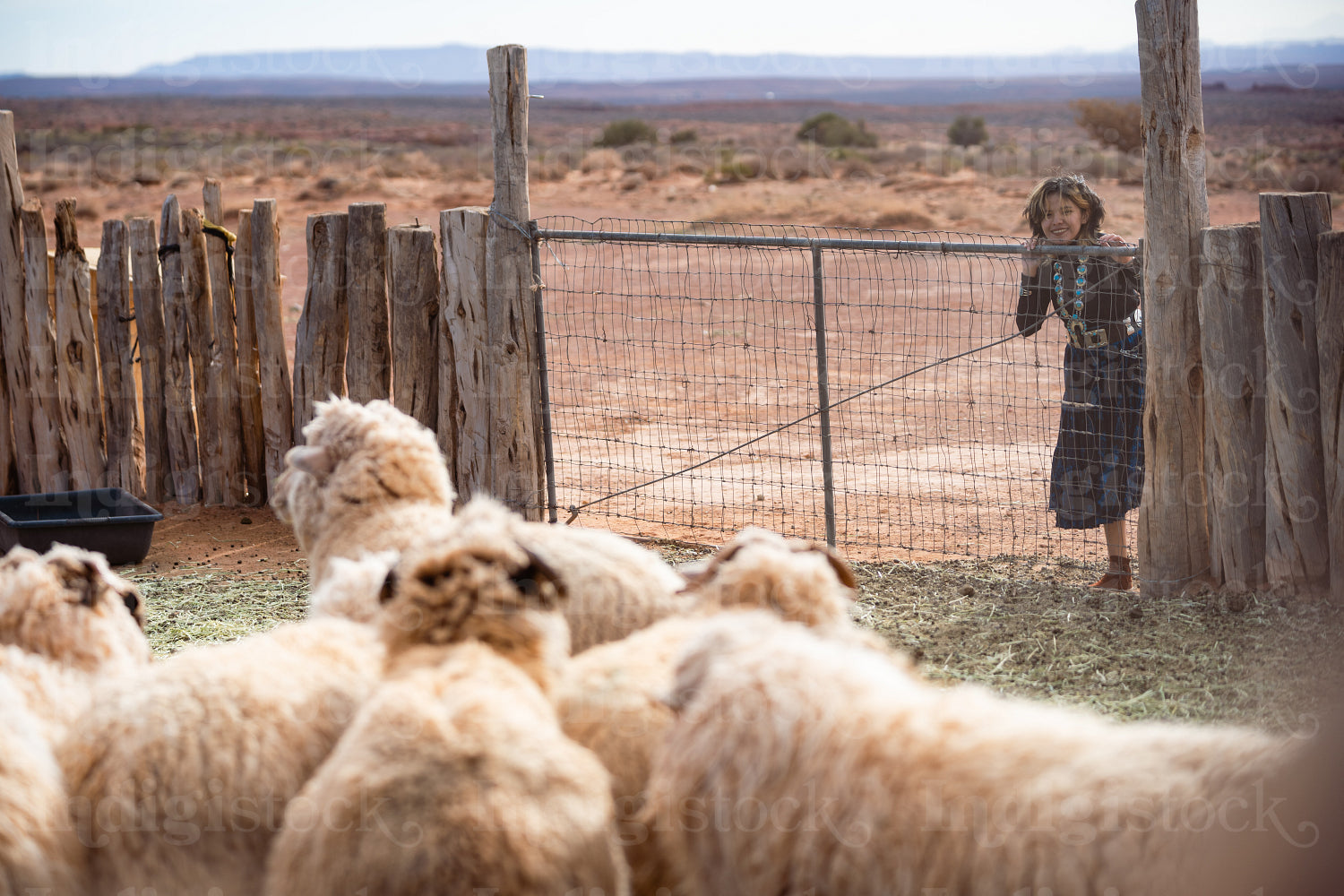 Young native youth wearing tradtional regalia looking at sheep